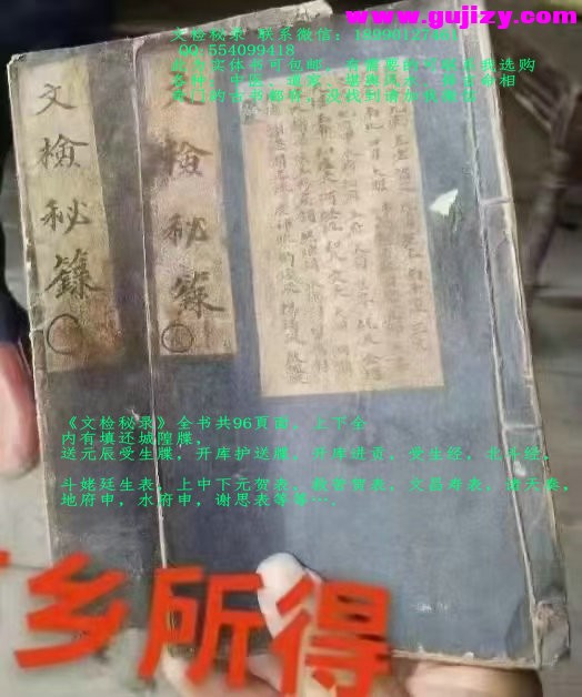 1738384067525.jpg