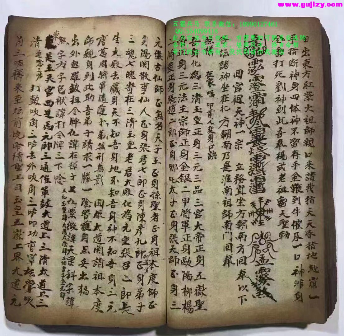 1723910134120.jpg