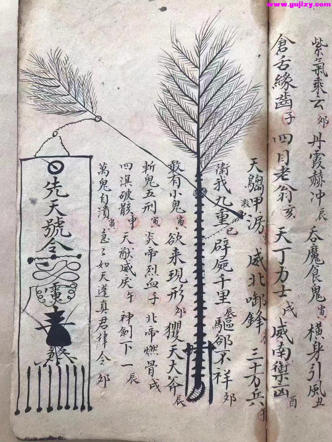 1722268643076.jpg