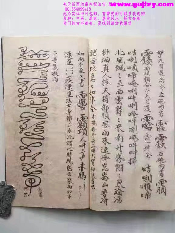 1723172013730.jpg