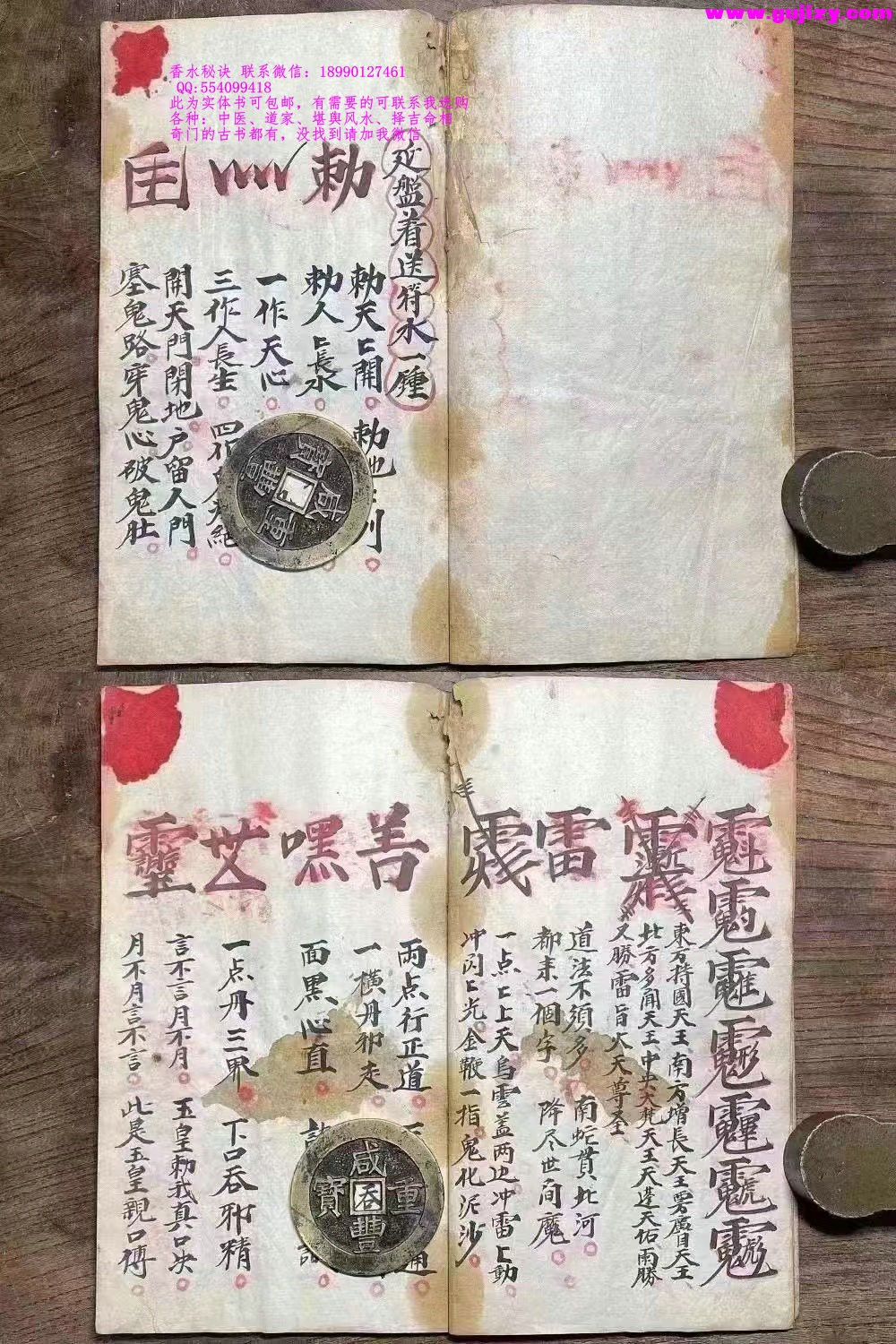 1725301130518.jpg