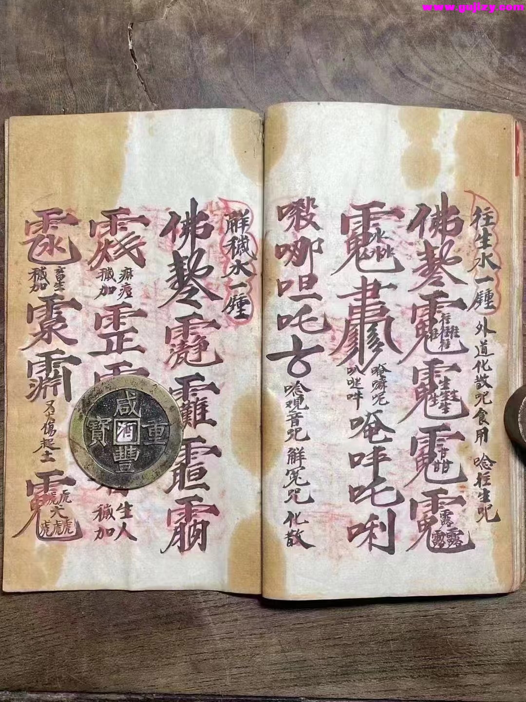 1725301141736.jpg