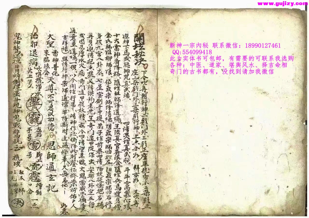 1723051554515.jpg