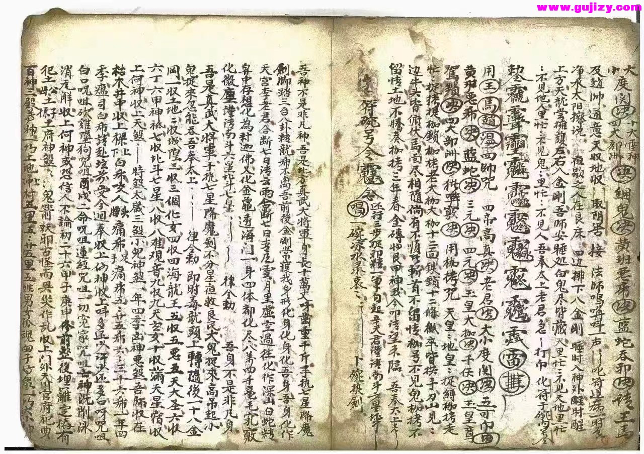 1723051555858.jpg