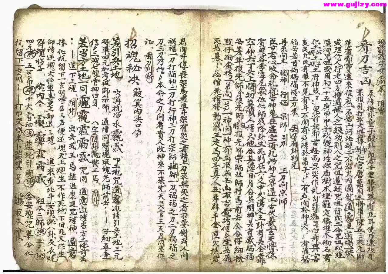 1723051564833.jpg