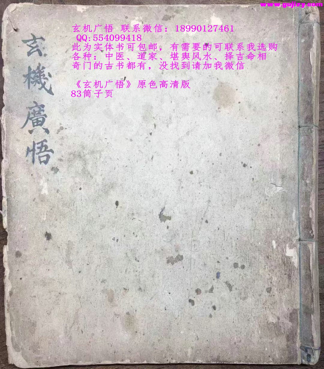 1739171190428.jpg