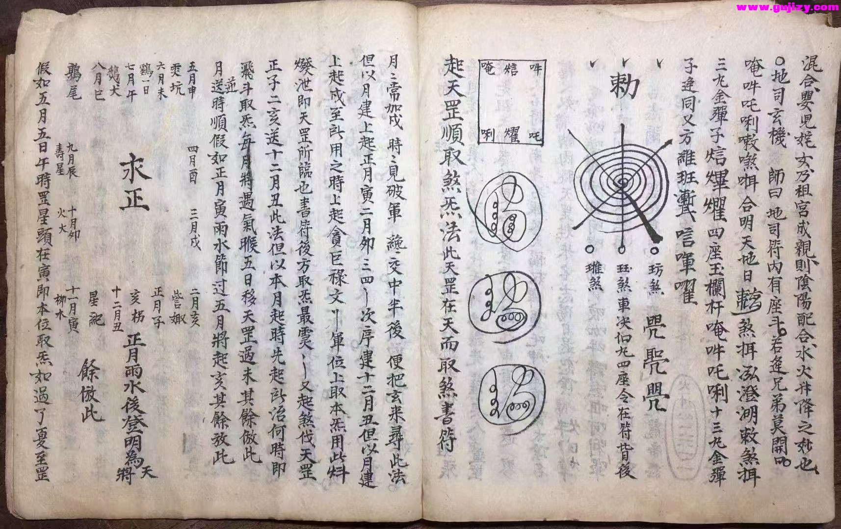 1739171208346.jpg