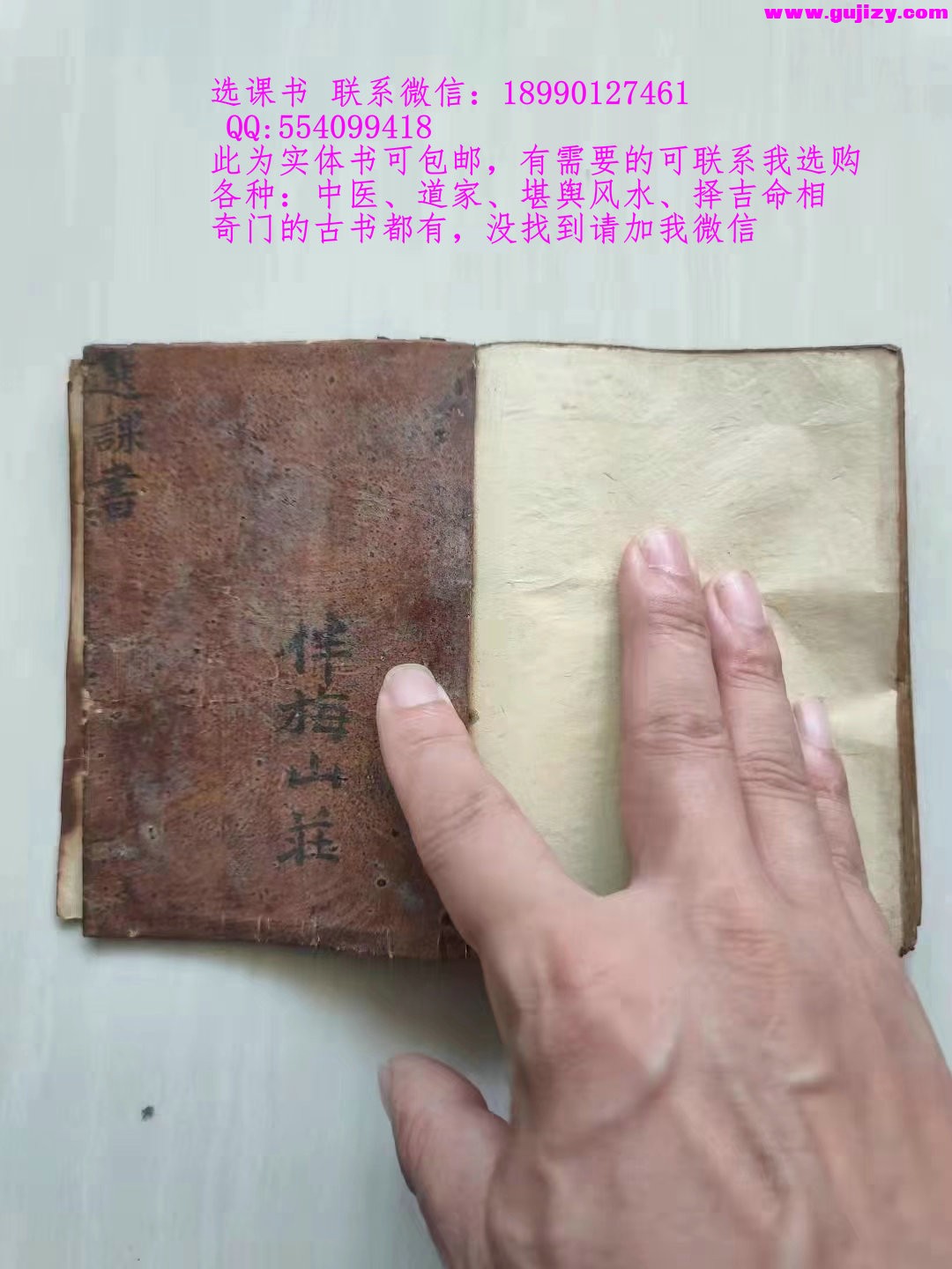 1723399378718.jpg