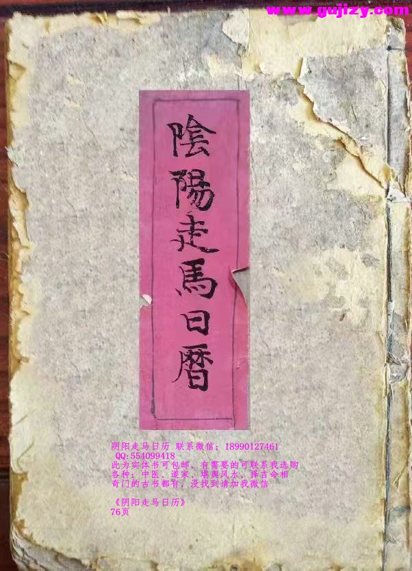 1739247332016.jpg