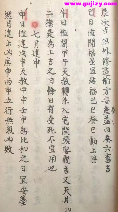 1739247343205.jpg