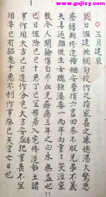 1739247341633.jpg