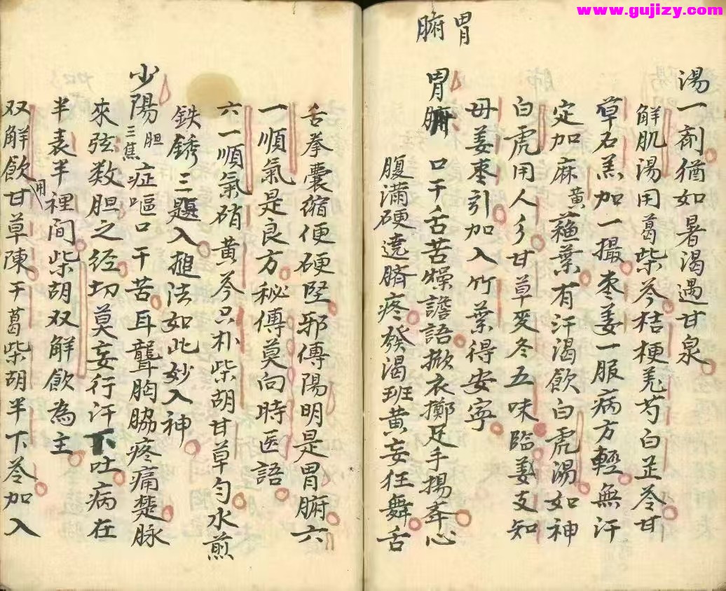 1739177469606.jpg