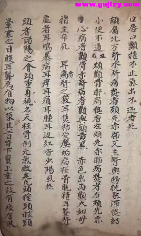 1739177838965.jpg