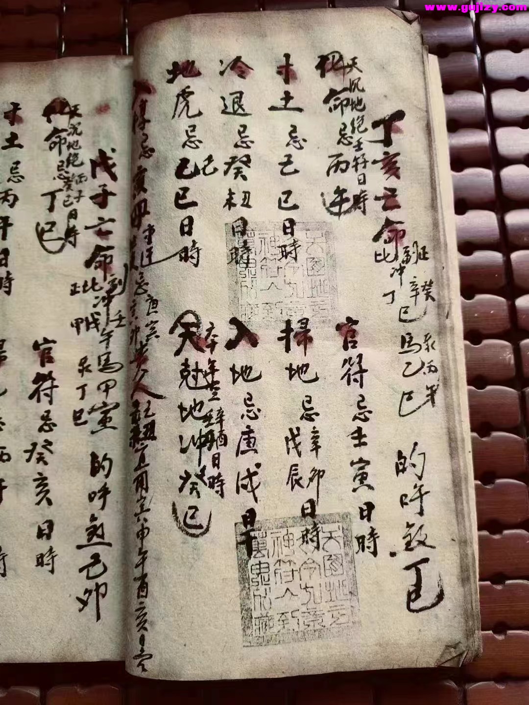 1722164263491.jpg