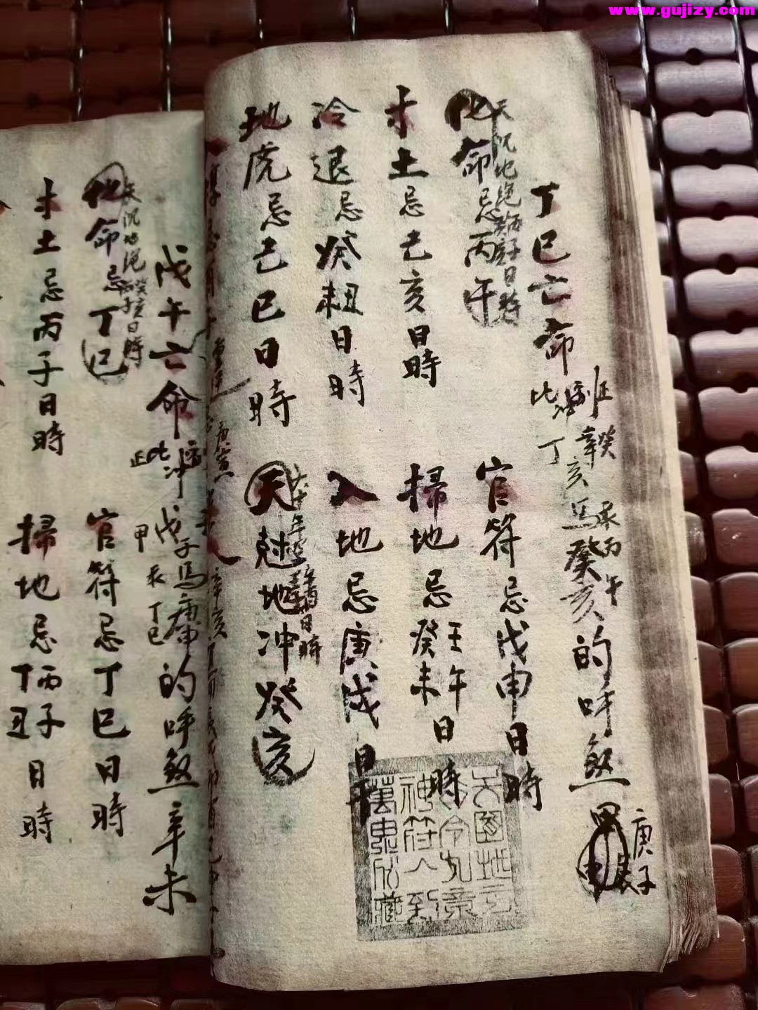 1722164264977.jpg