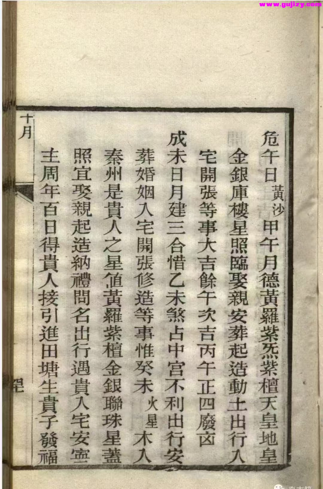 1739169873872.jpg