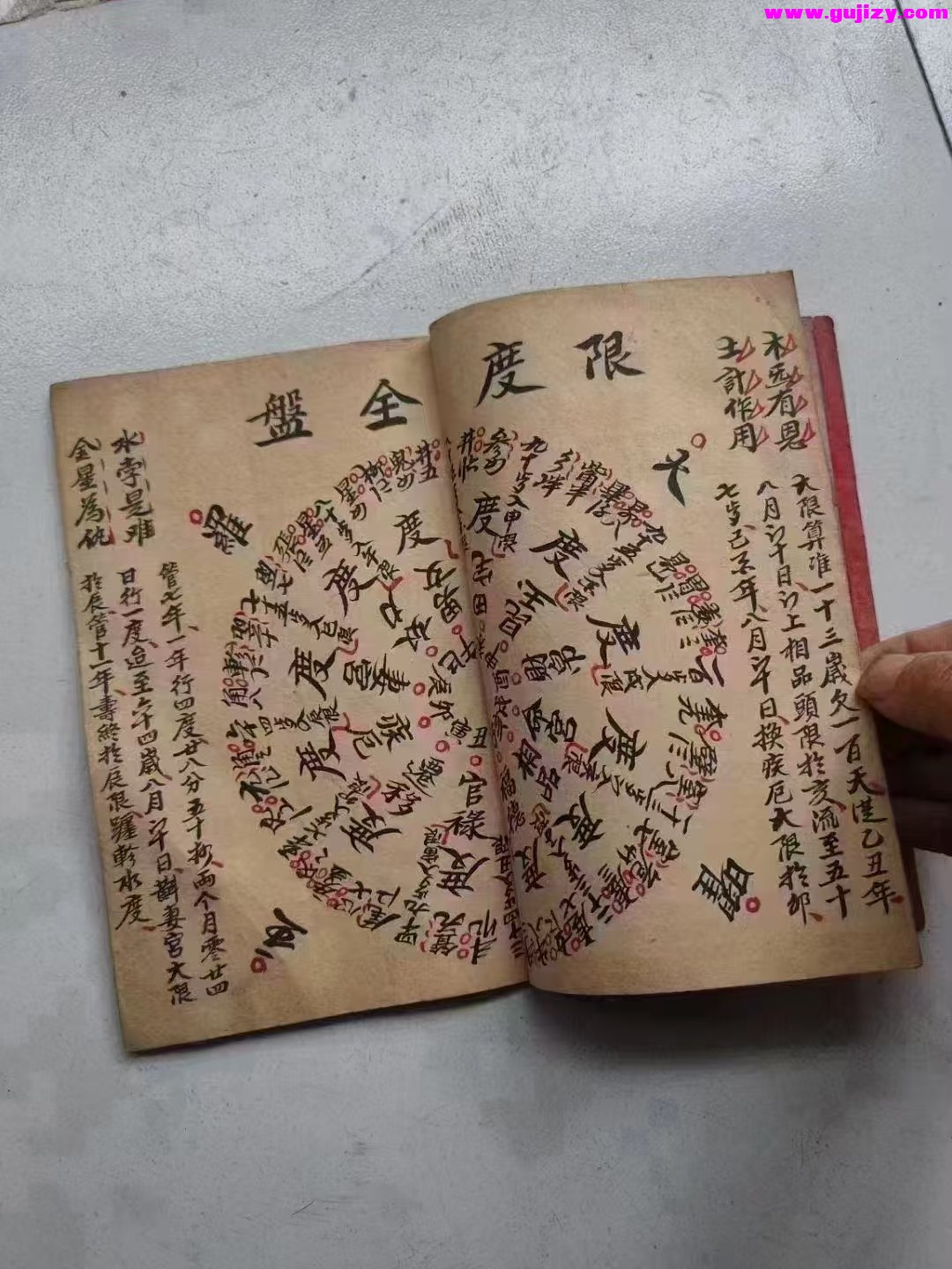 1739177186673.jpg