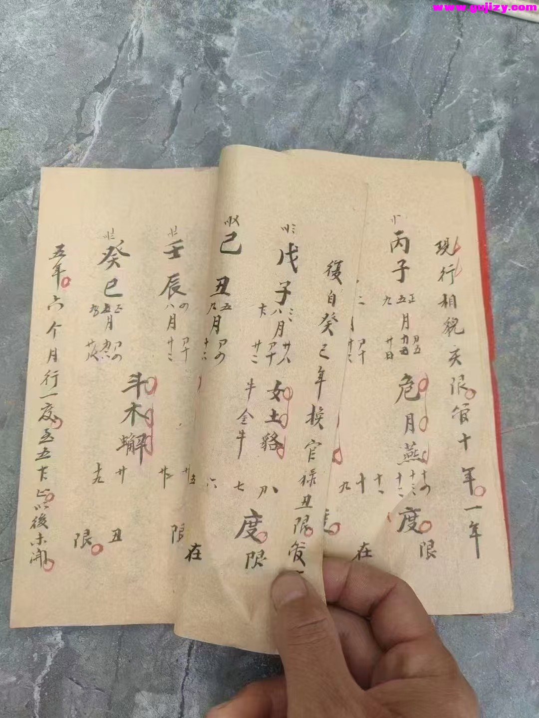 1739177191424.jpg