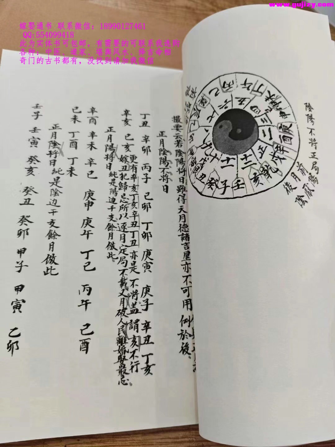 1725380425803.jpg