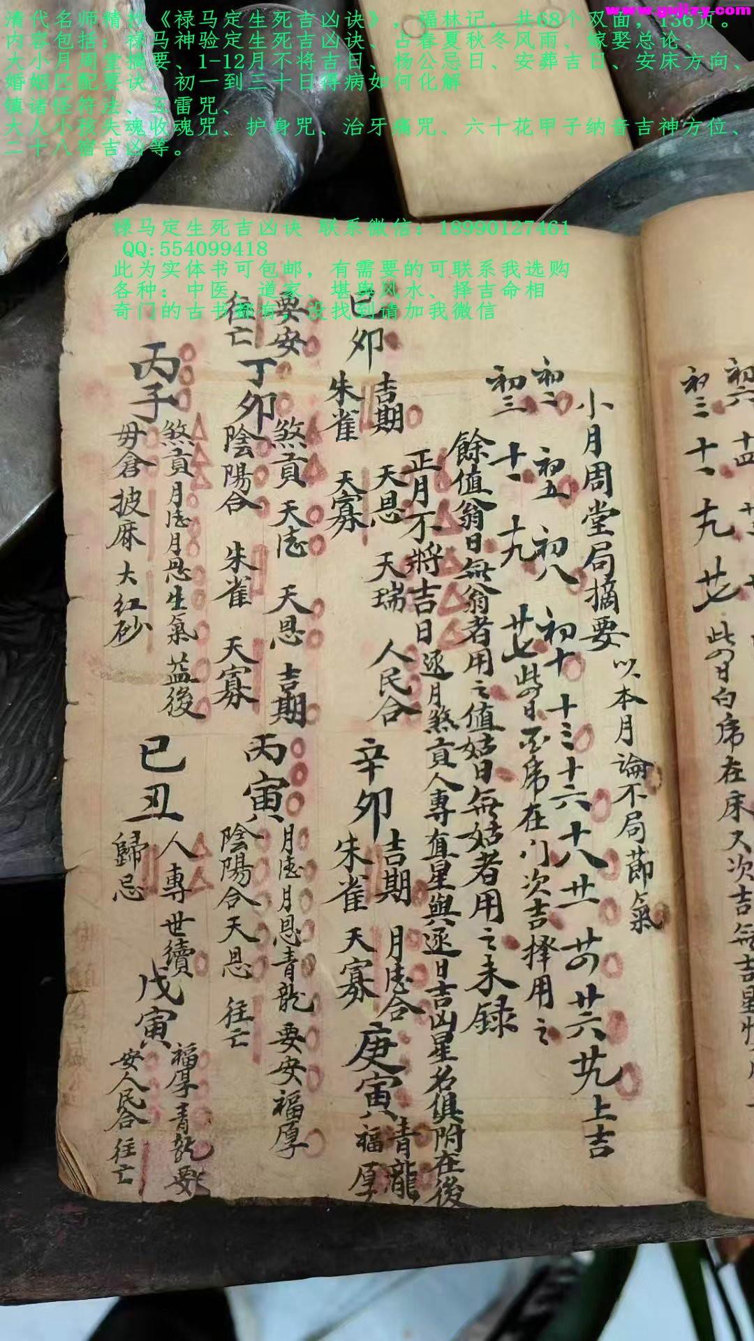 1739172003515.jpg