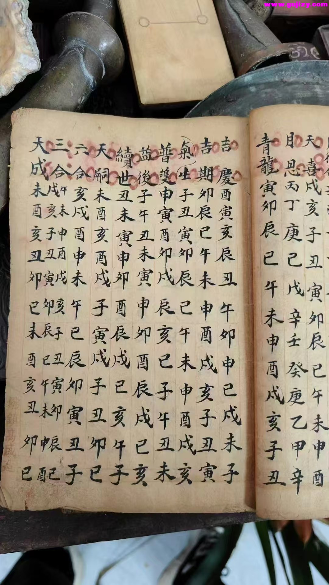1739172004728.jpg