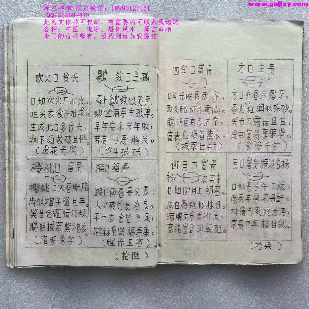1723191321046.jpg