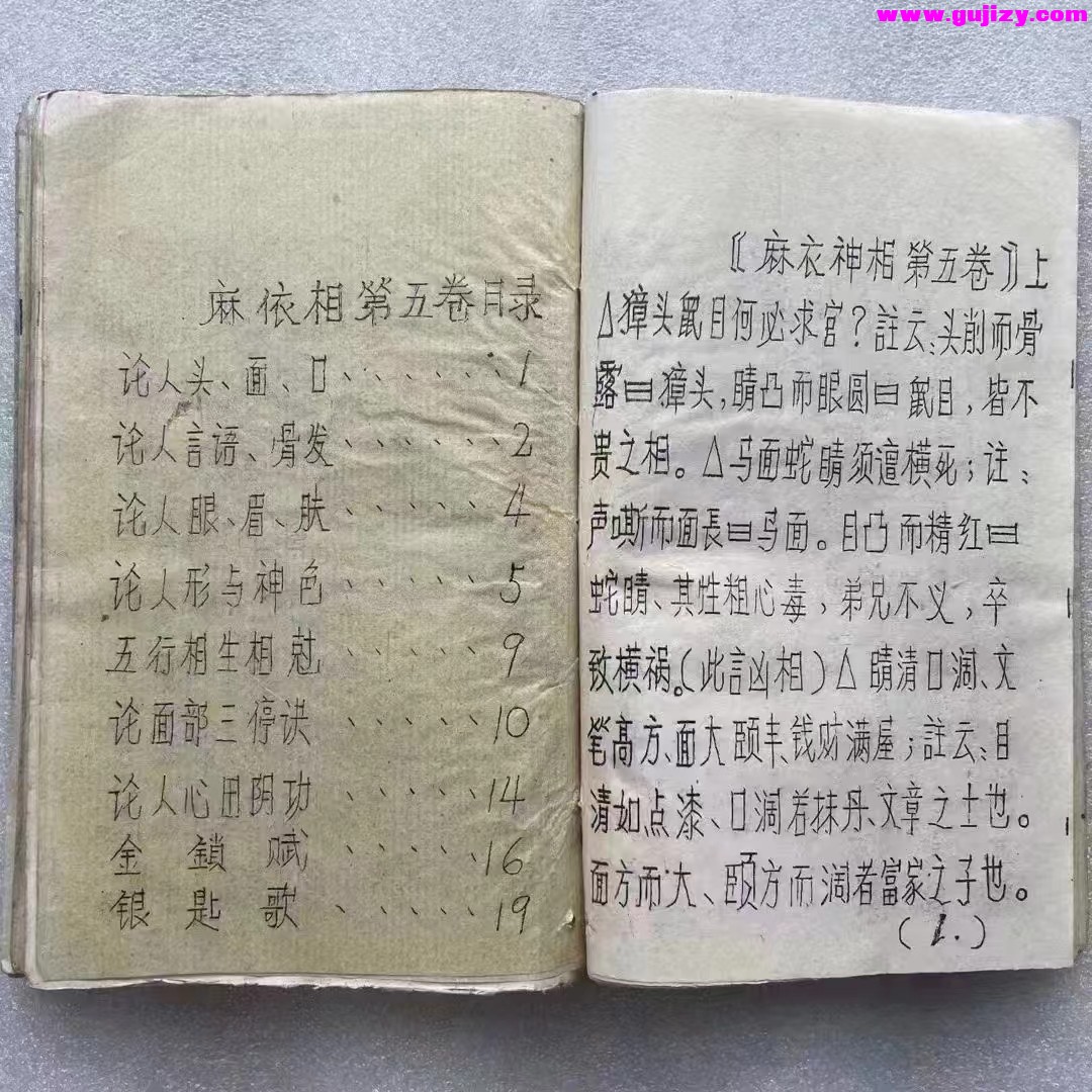 1723191329632.jpg