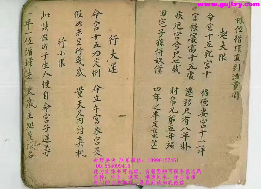 1723190479329.jpg