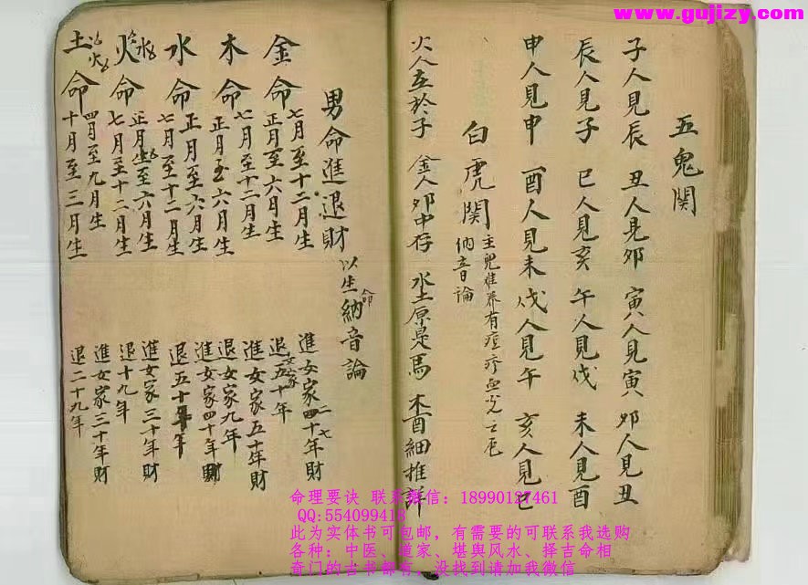 1723190484532.jpg
