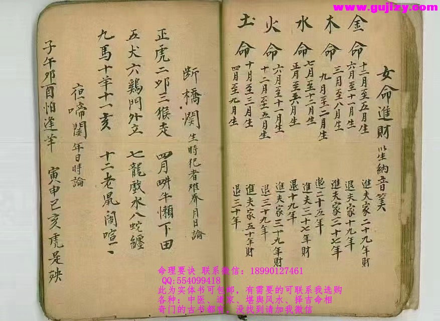 1723190488272.jpg