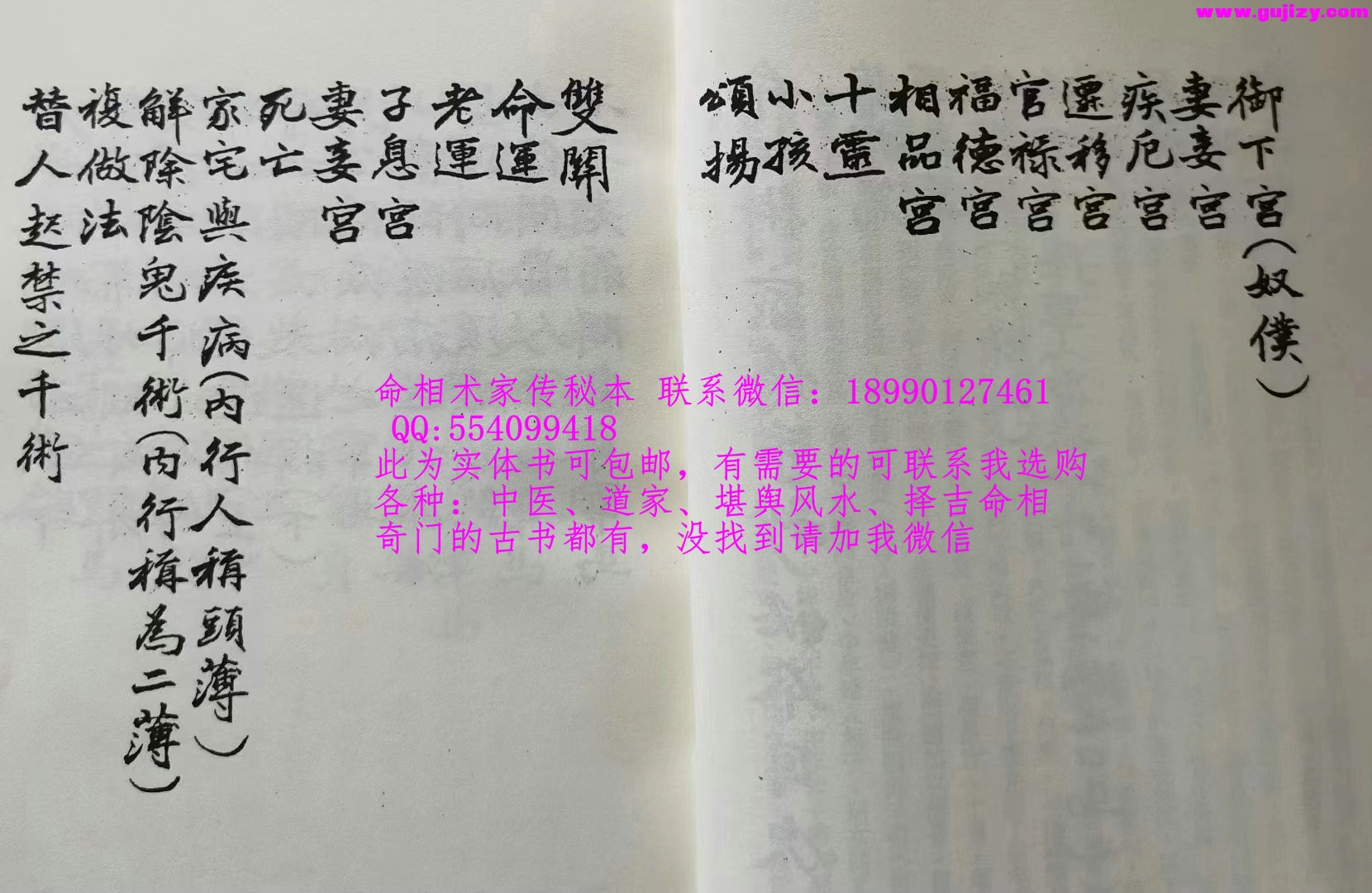 1725296627174.jpg