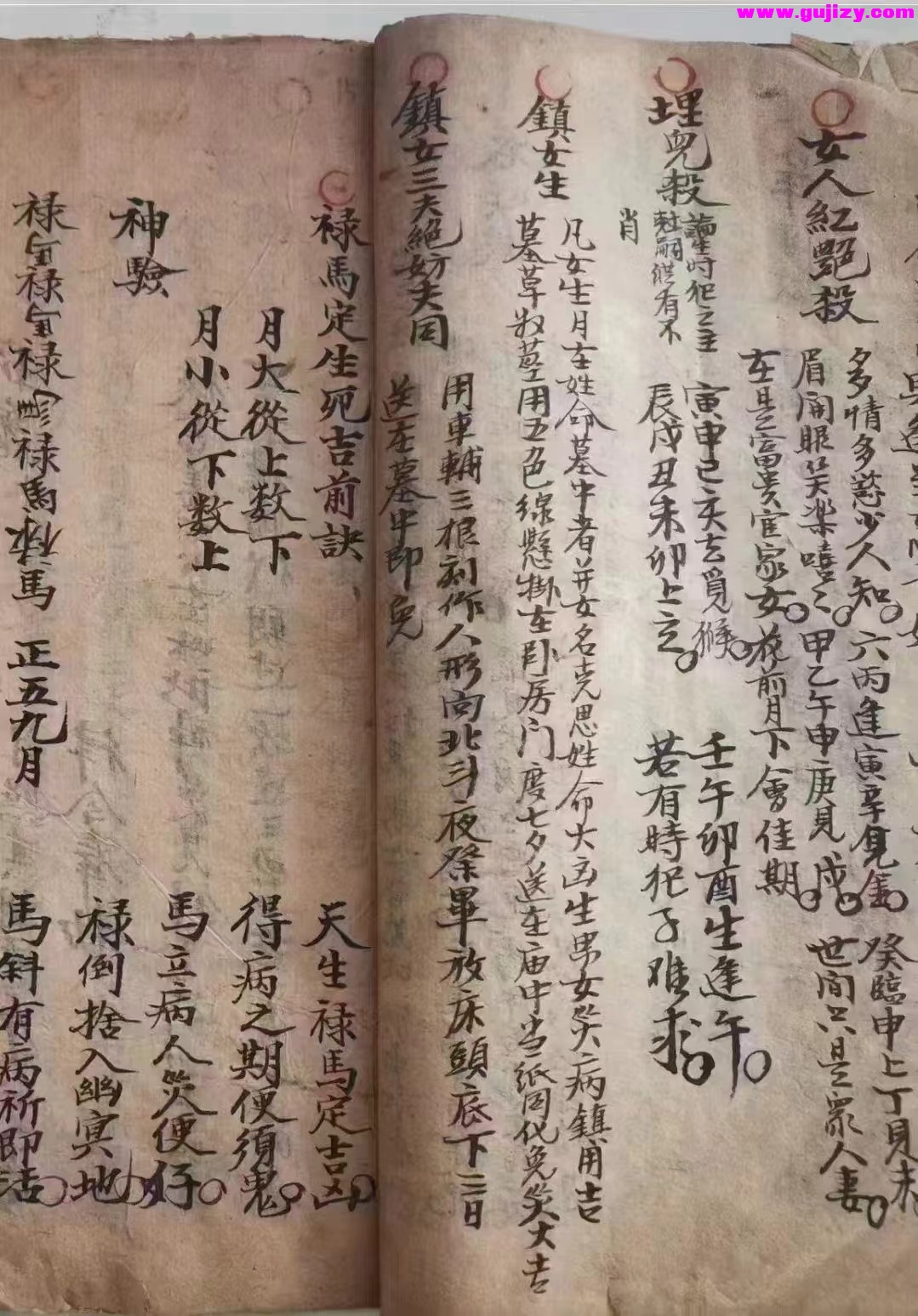 1725296721816.jpg