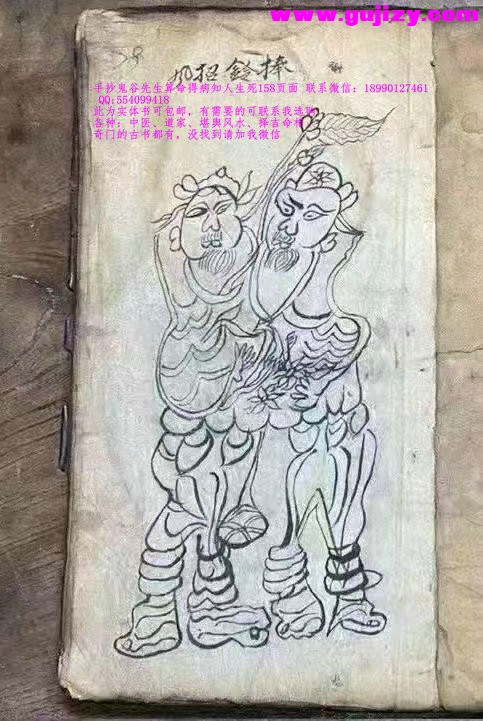 1722163296811.jpg