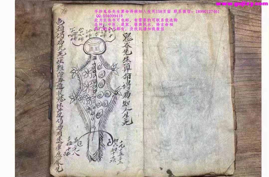 1722163300896.jpg