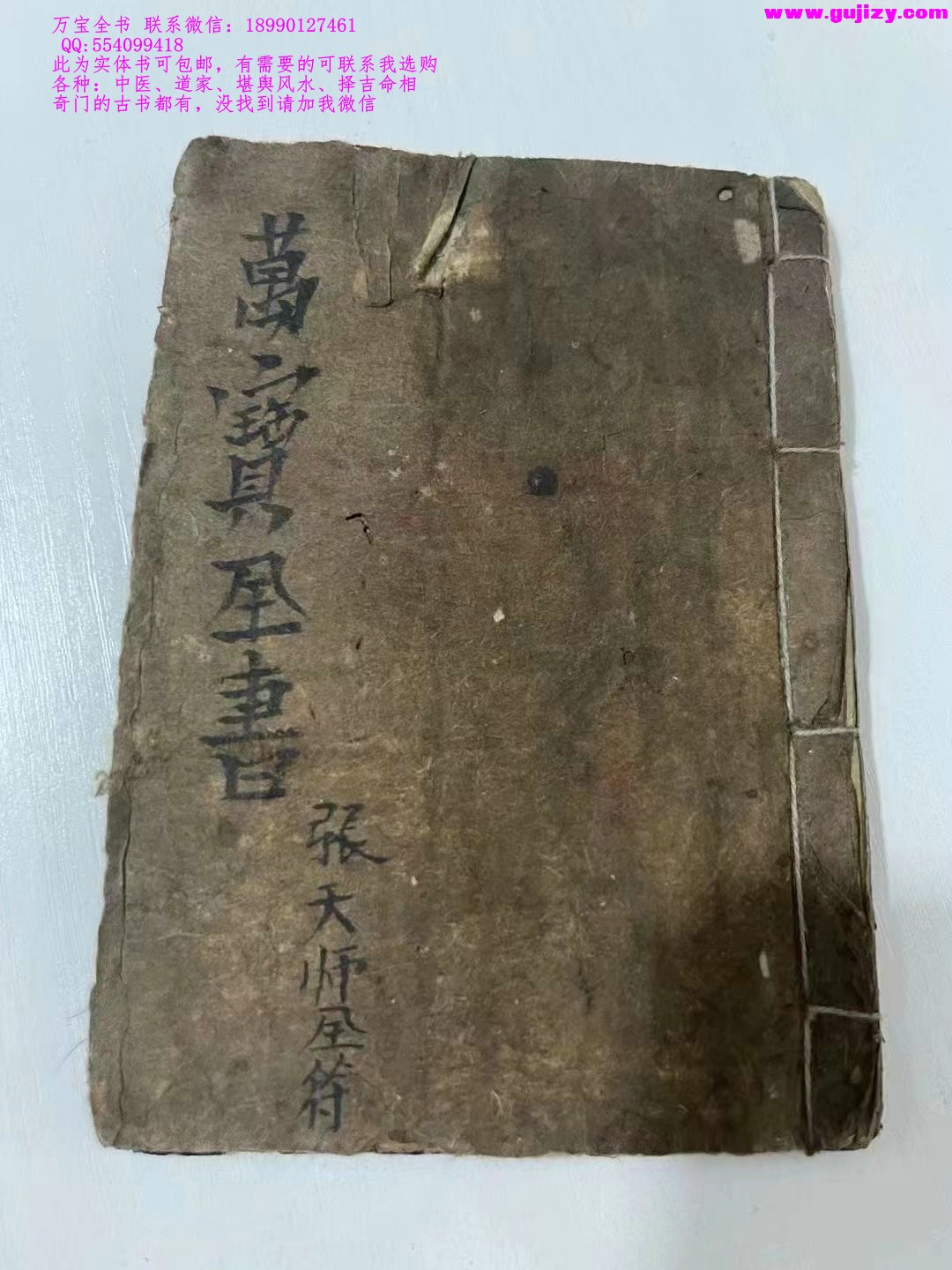 1725337206643.jpg