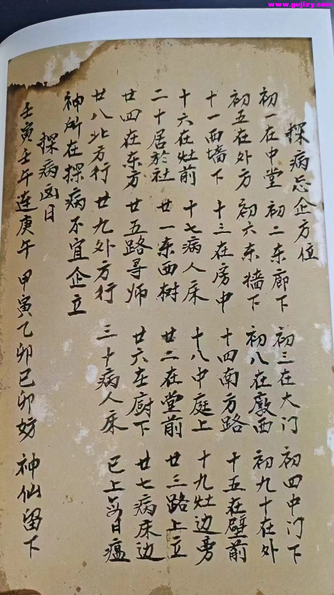 1725337222621.jpg