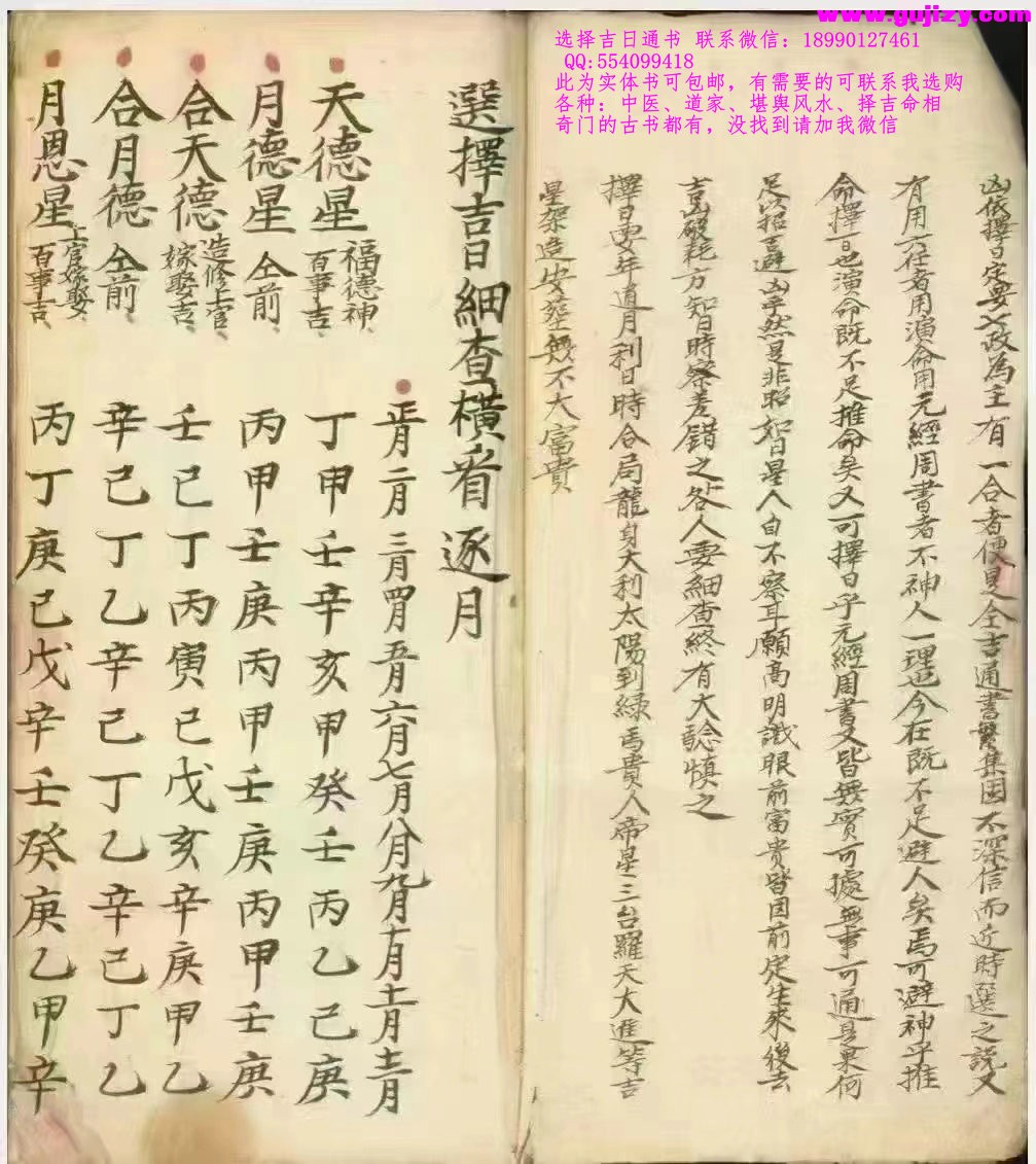 1725301332771.jpg