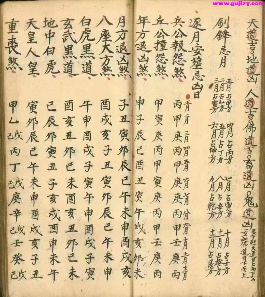 1725301330960.jpg
