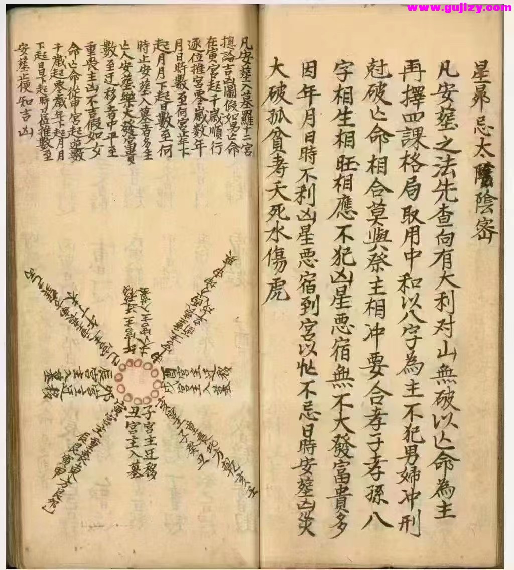 1725301338245.jpg