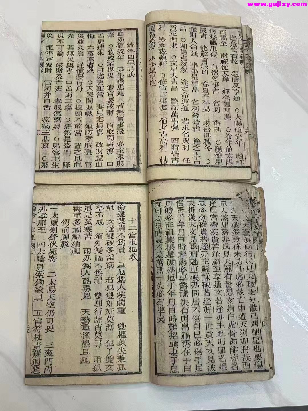 1723049994090.jpg