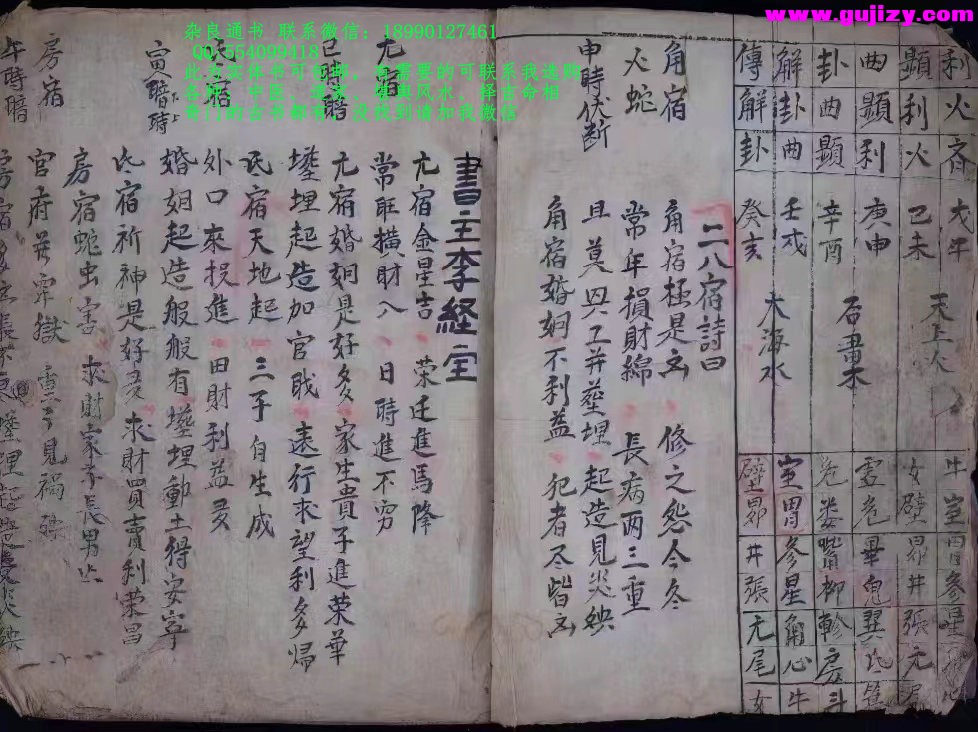 1723191934449.jpg