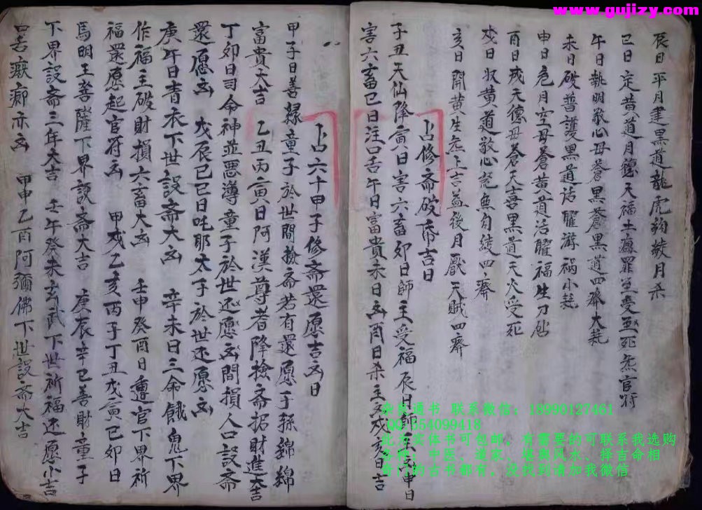 1723191937187.jpg