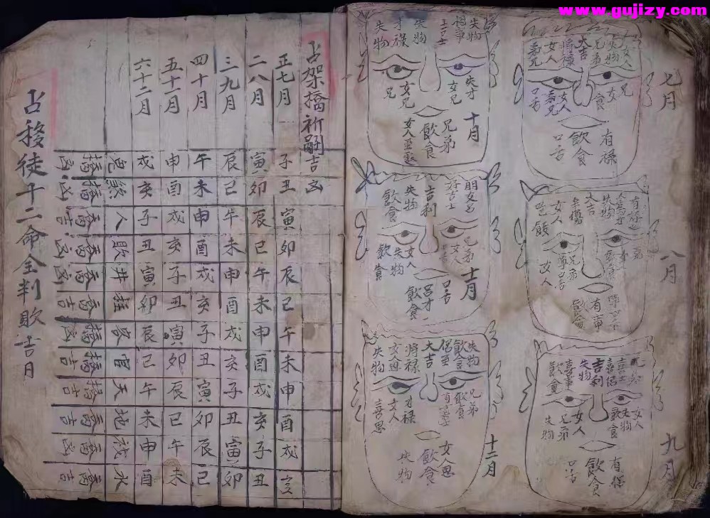 1723191948566.jpg