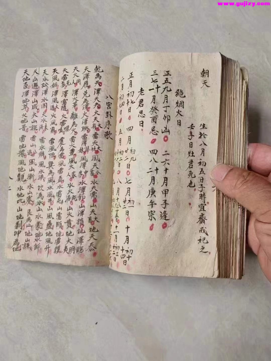 1725299757795.jpg