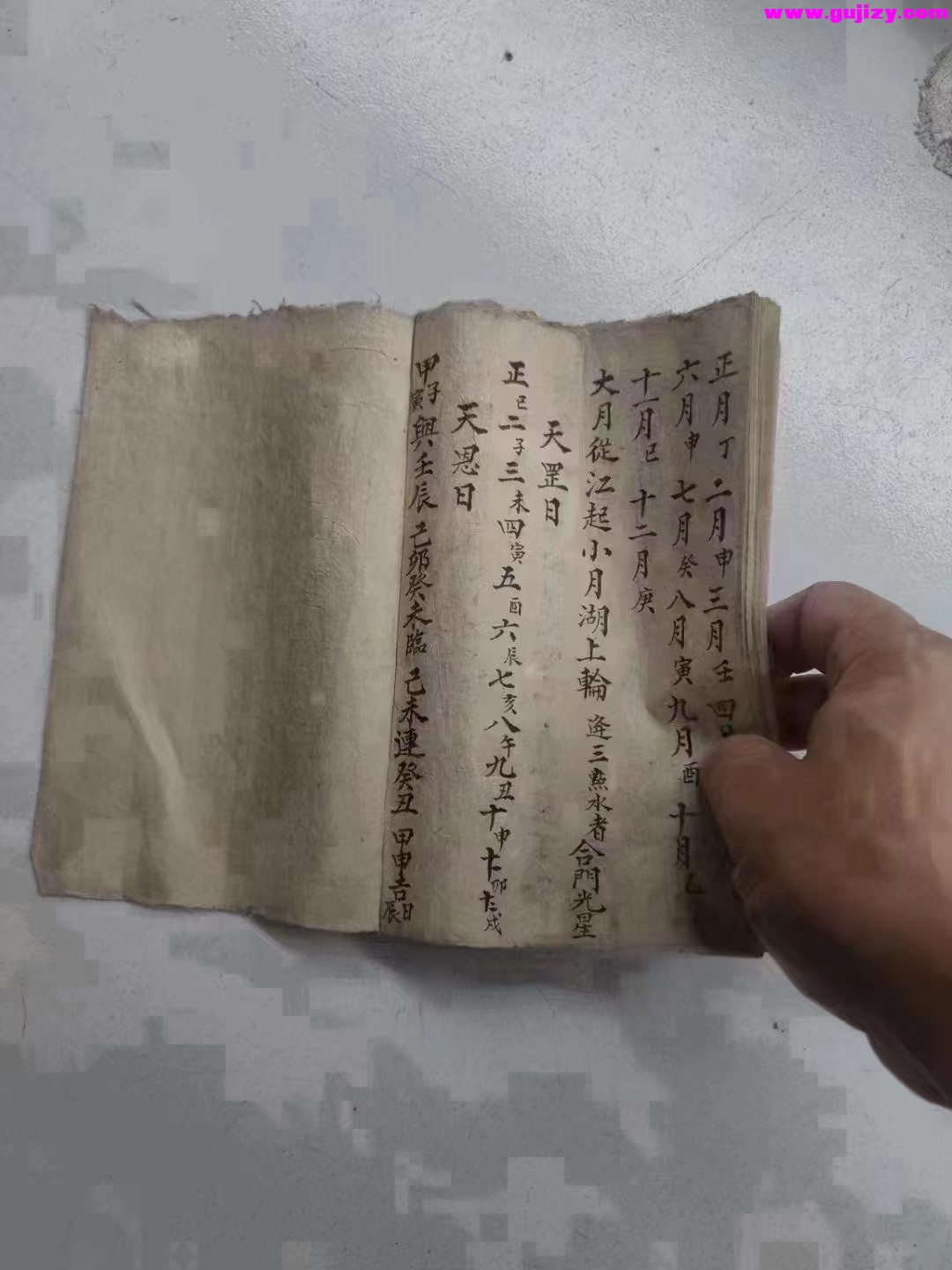 1723651234826.jpg