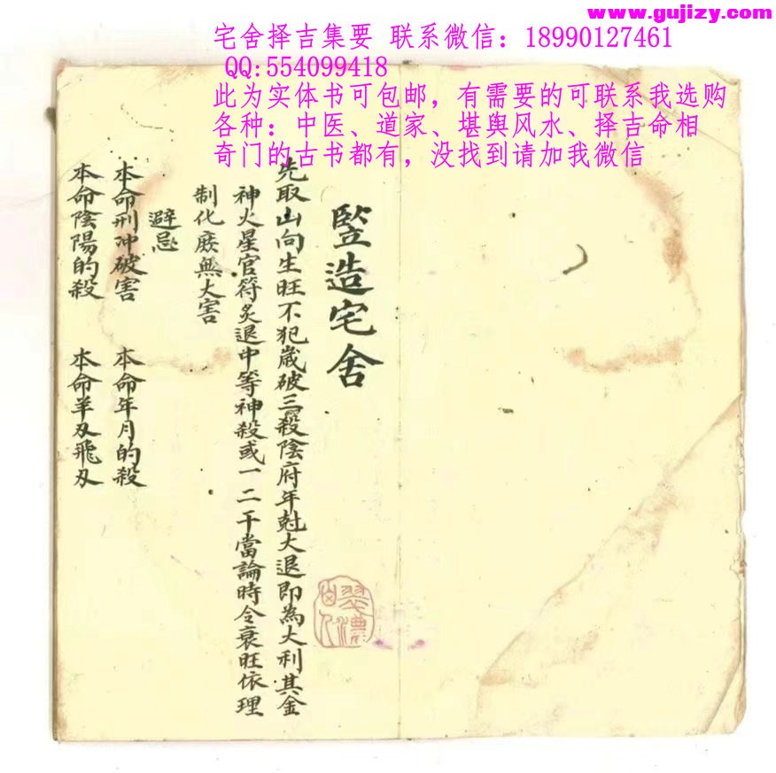 1725300147037.jpg