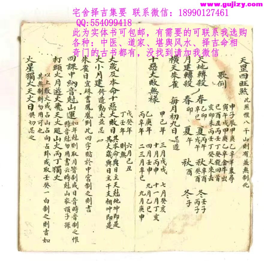 1725300148186.jpg