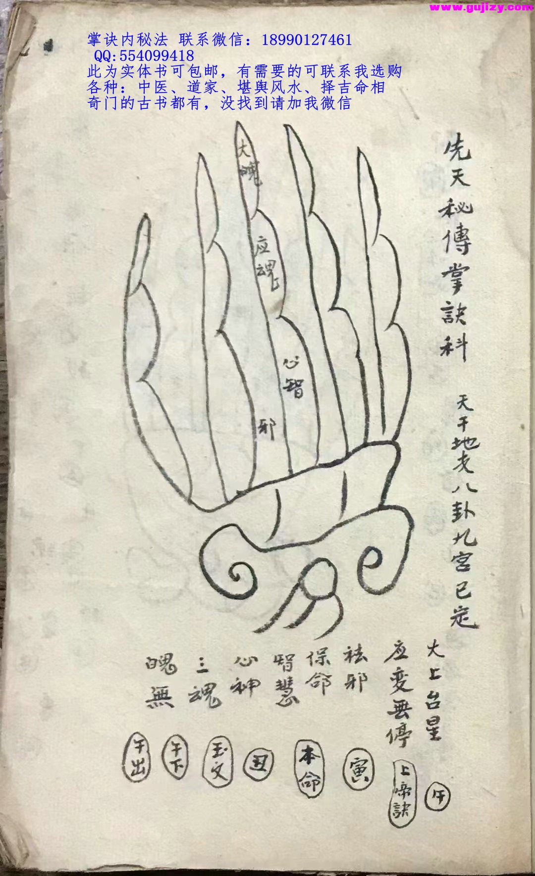 1722157554816.jpg