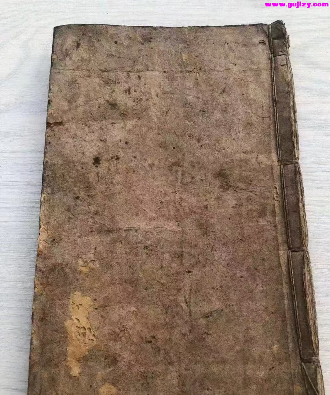1739430367222.jpg