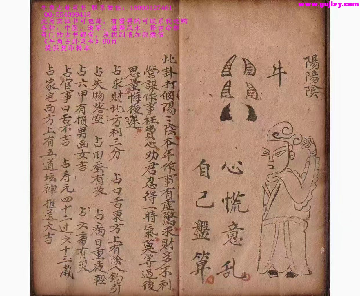 1738381112273.jpg